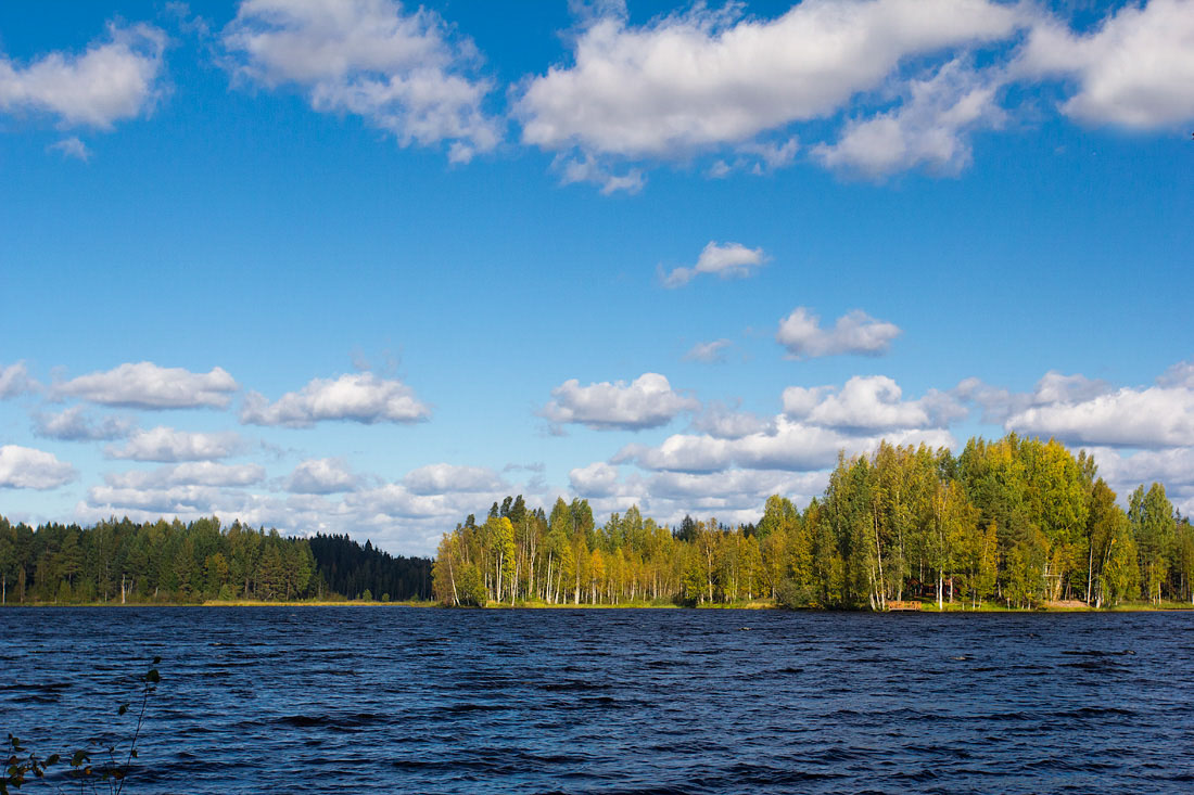 Озеро русское валдайский район фото