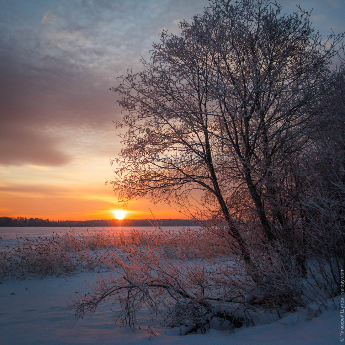 Snowy morning. Чудское озеро зима. Чудское озеро зимой. Валдай озеро рассвет зима. Озеро Ильмень зимой.