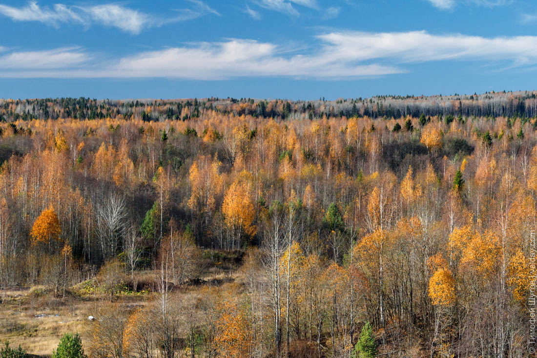 Осенняя даль