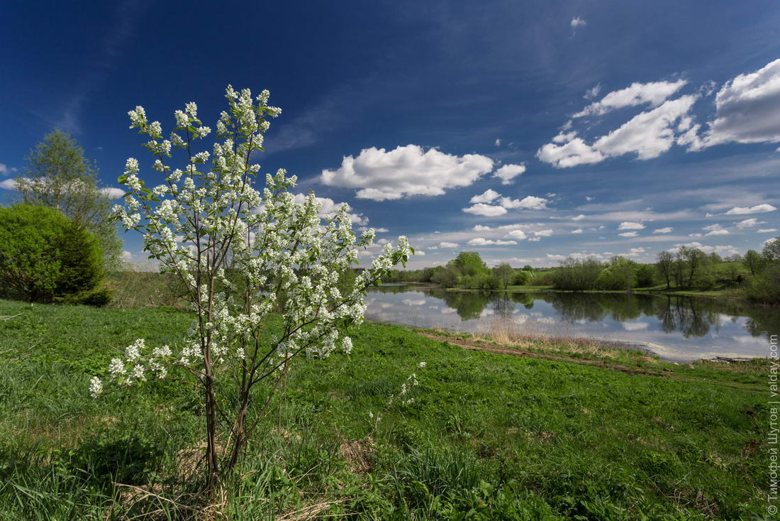 Фото с месяцем май