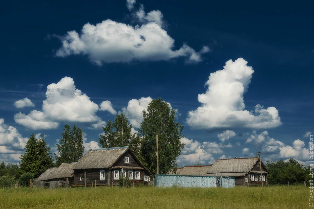 Валдайское сельское поселение. Деревня Лучки Валдайского района. Лучки Новгородская область Валдайский район. Деревня сопки Валдайский район. Деревня Заречье Беларусь.