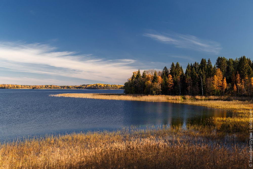 Озеро русское валдайский район фото