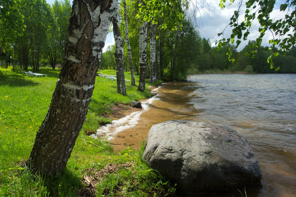 Озеро велье новгородская область фото