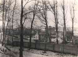         .    XIX    1950-    . .