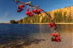 Осень на Валдайском озере